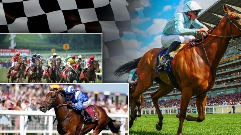 Horse Racing, Finish Line, Flag, Crowd, Track